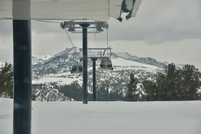 DSC_6737 (Large).JPG